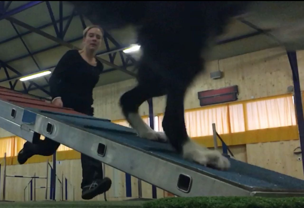 App RC Graduations - 1970-01-01